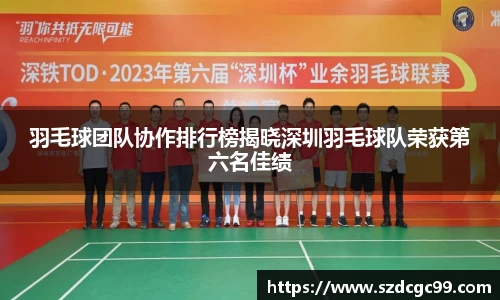 羽毛球团队协作排行榜揭晓深圳羽毛球队荣获第六名佳绩