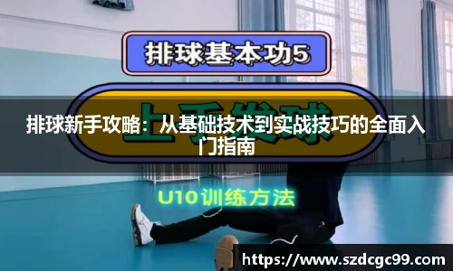 排球新手攻略：从基础技术到实战技巧的全面入门指南