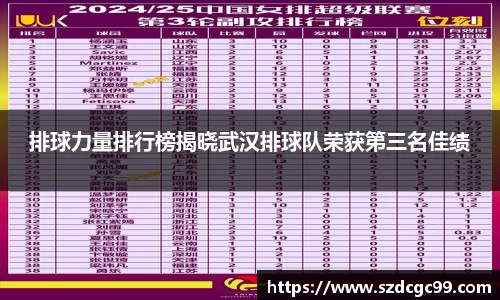排球力量排行榜揭晓武汉排球队荣获第三名佳绩