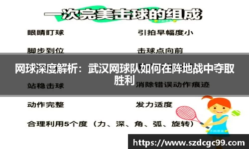 网球深度解析：武汉网球队如何在阵地战中夺取胜利