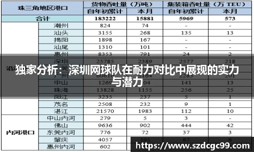 独家分析：深圳网球队在耐力对比中展现的实力与潜力