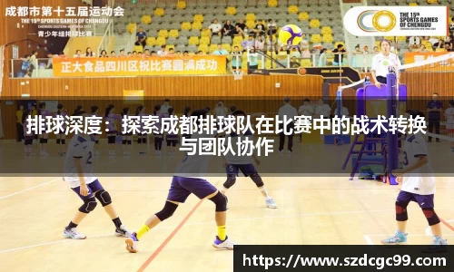 排球深度：探索成都排球队在比赛中的战术转换与团队协作