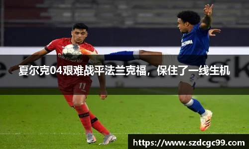 夏尔克04艰难战平法兰克福，保住了一线生机