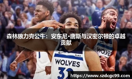 森林狼力克公牛：安东尼·唐斯与汉密尔顿的卓越贡献