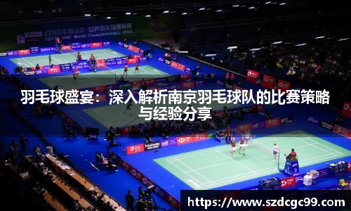 羽毛球盛宴：深入解析南京羽毛球队的比赛策略与经验分享