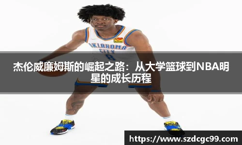 HB火博官方网站